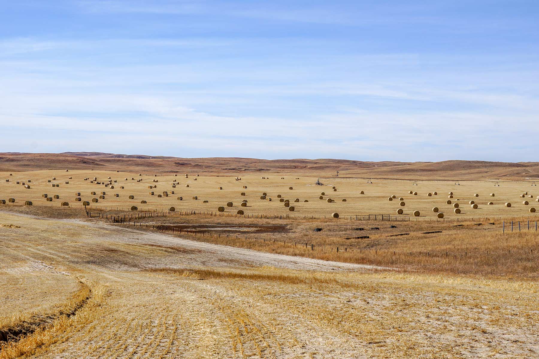 Diversified Sandhills Ranch property picture 42 of 53