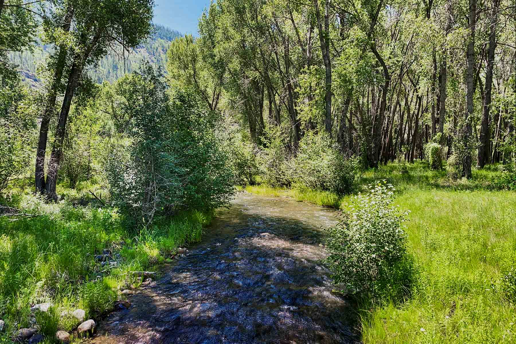 Red Bridge Estate property picture 25 of 47