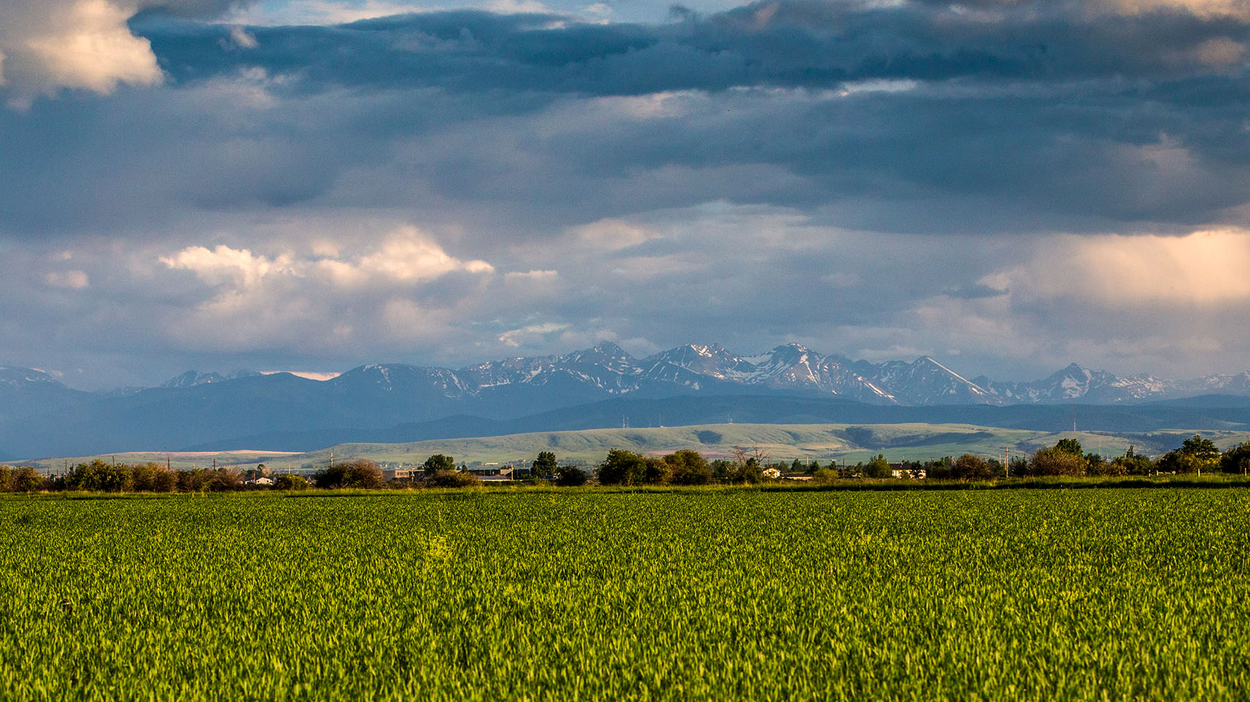 Story Creek Preserve property picture 40 of 48