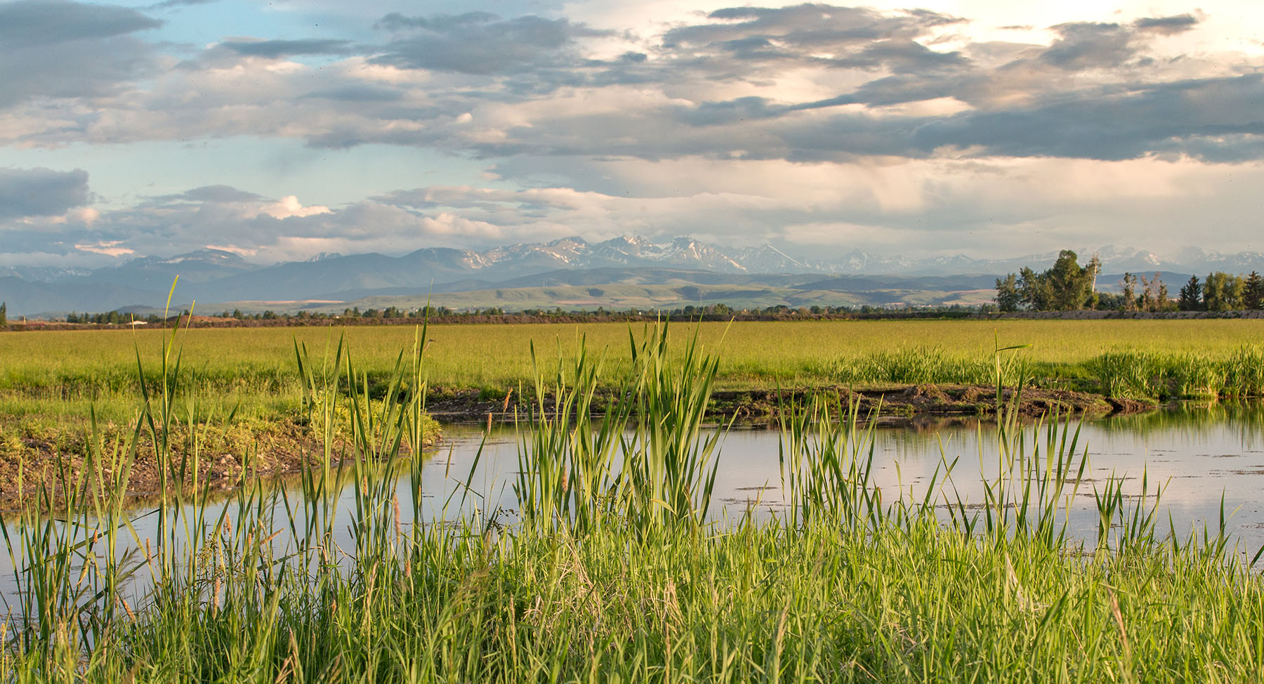 Story Creek Preserve property picture 9 of 48
