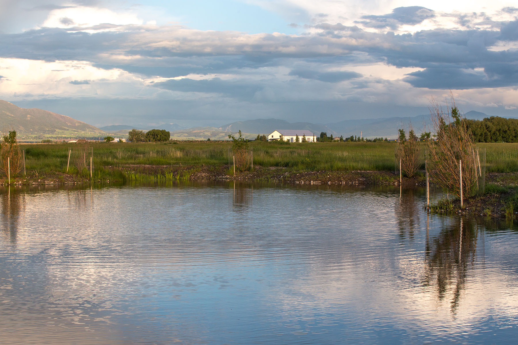 Story Creek Preserve property picture 13 of 48