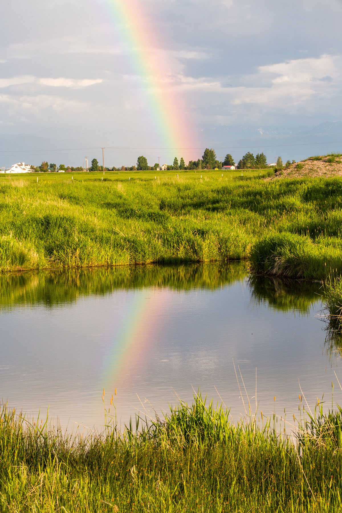 Story Creek Preserve property picture 37 of 48