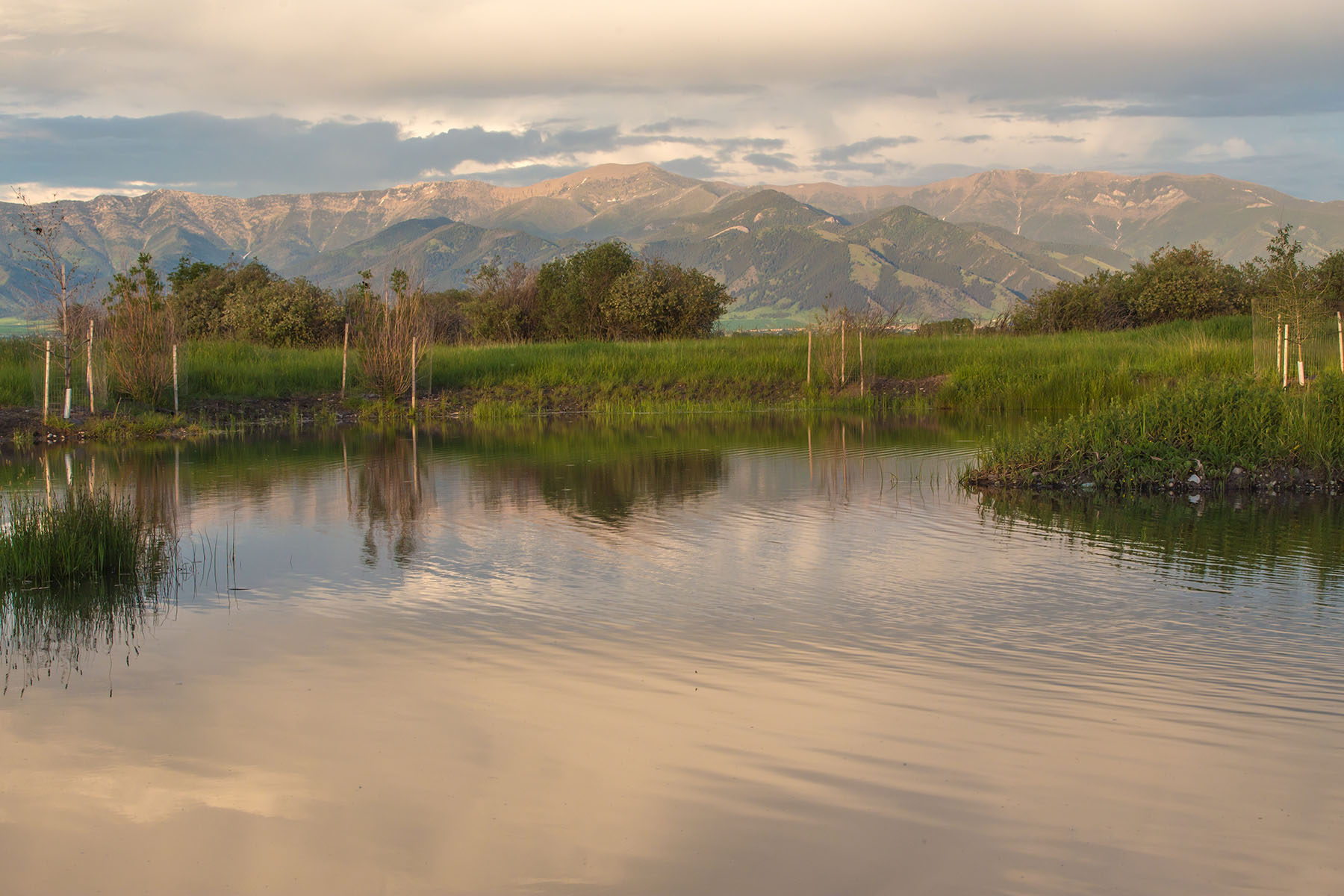 Story Creek Preserve property picture 42 of 48