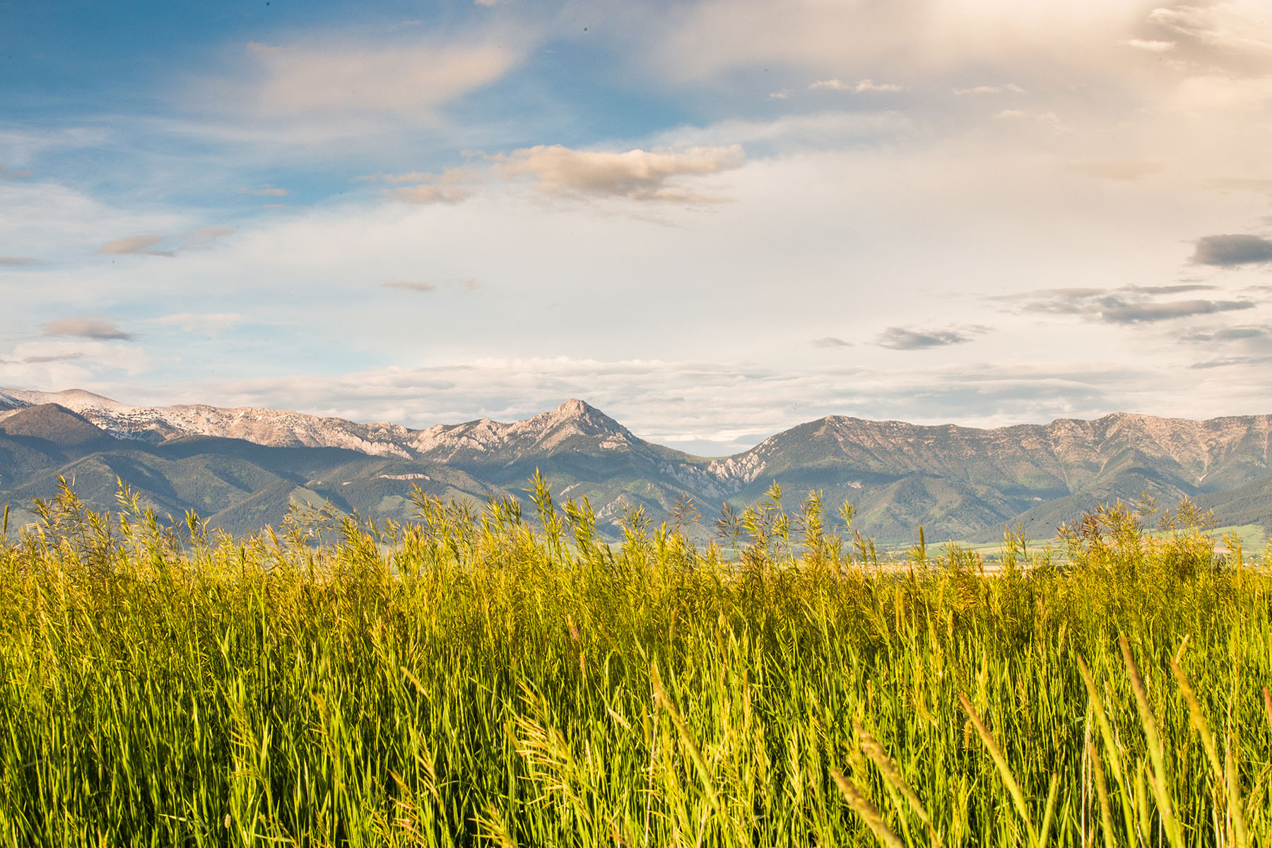 Story Creek Preserve property picture 7 of 48