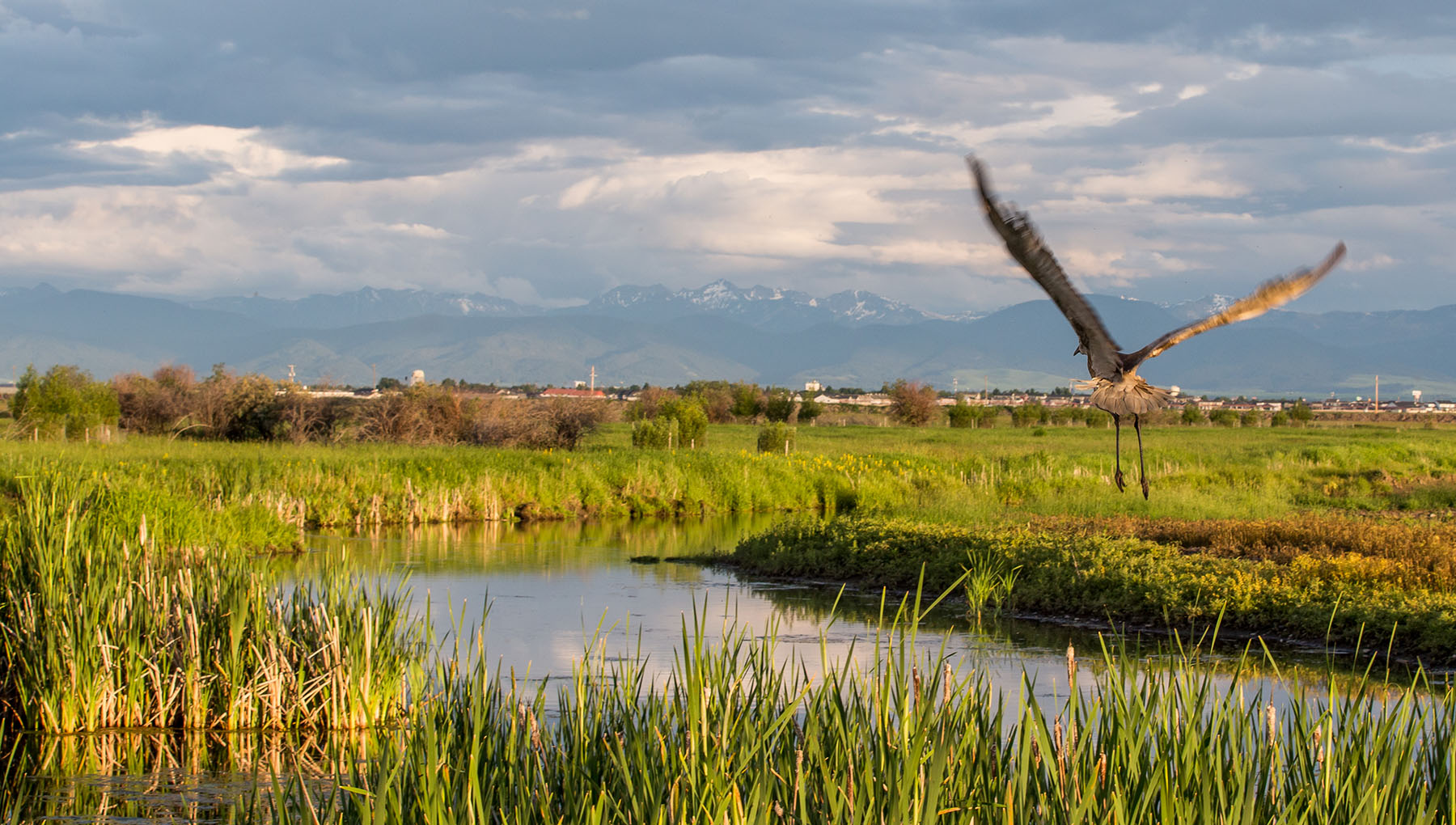 Story Creek Preserve property picture 36 of 48