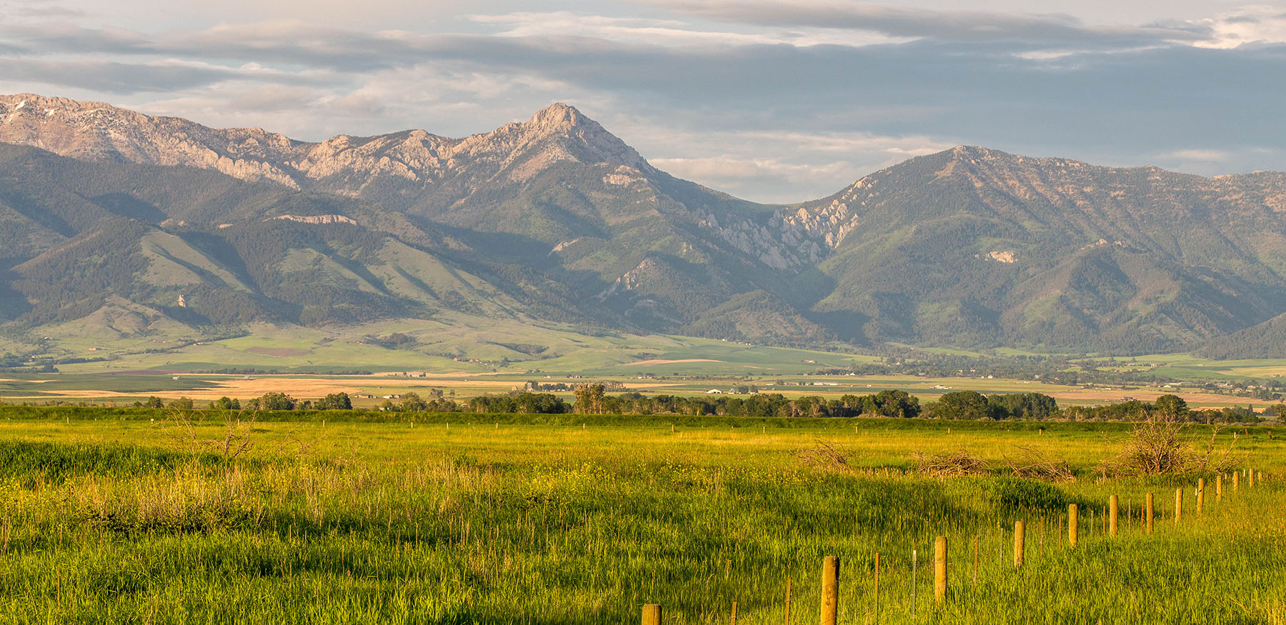 Story Creek Preserve property picture 3 of 48