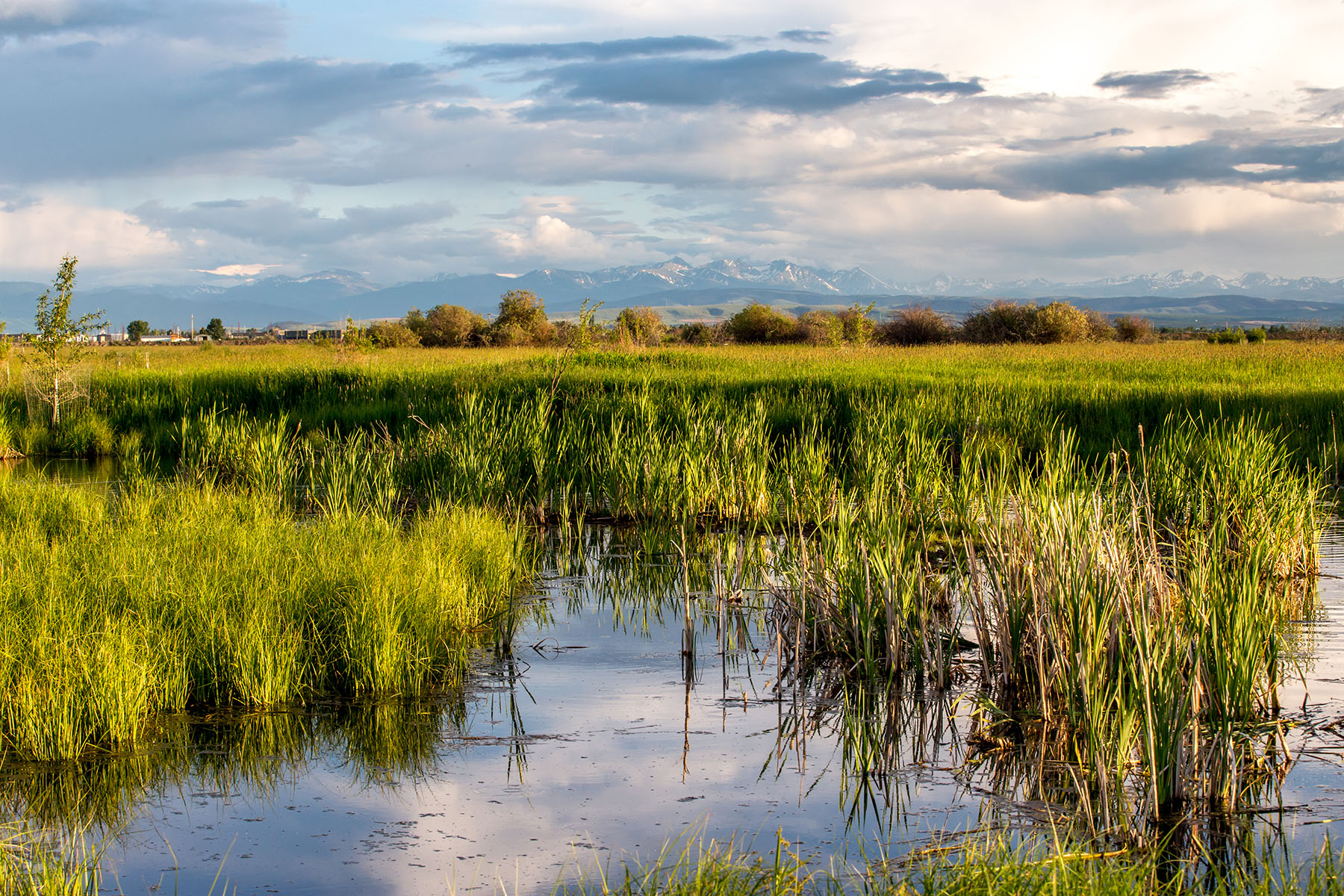 Story Creek Preserve property picture 10 of 48