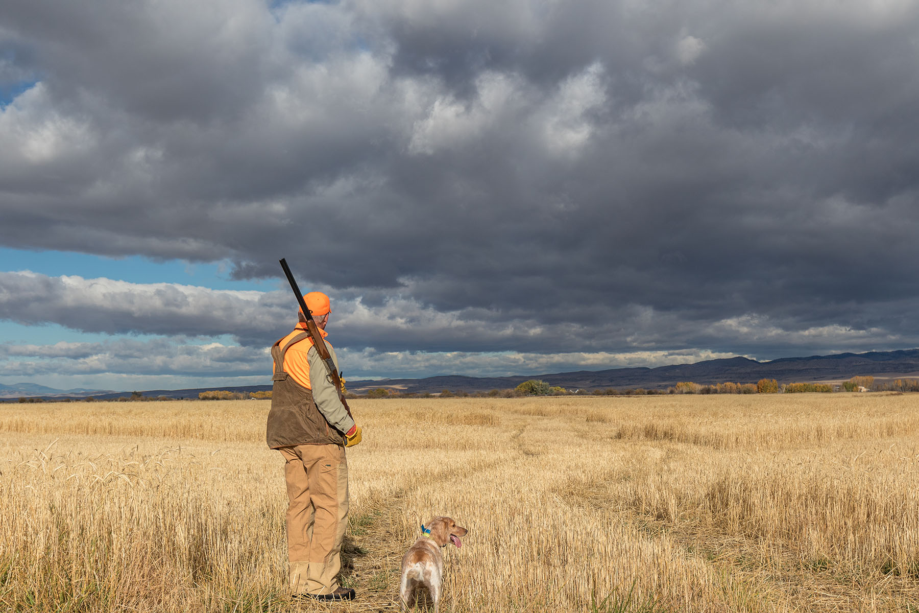 Story Creek Preserve property picture 46 of 48