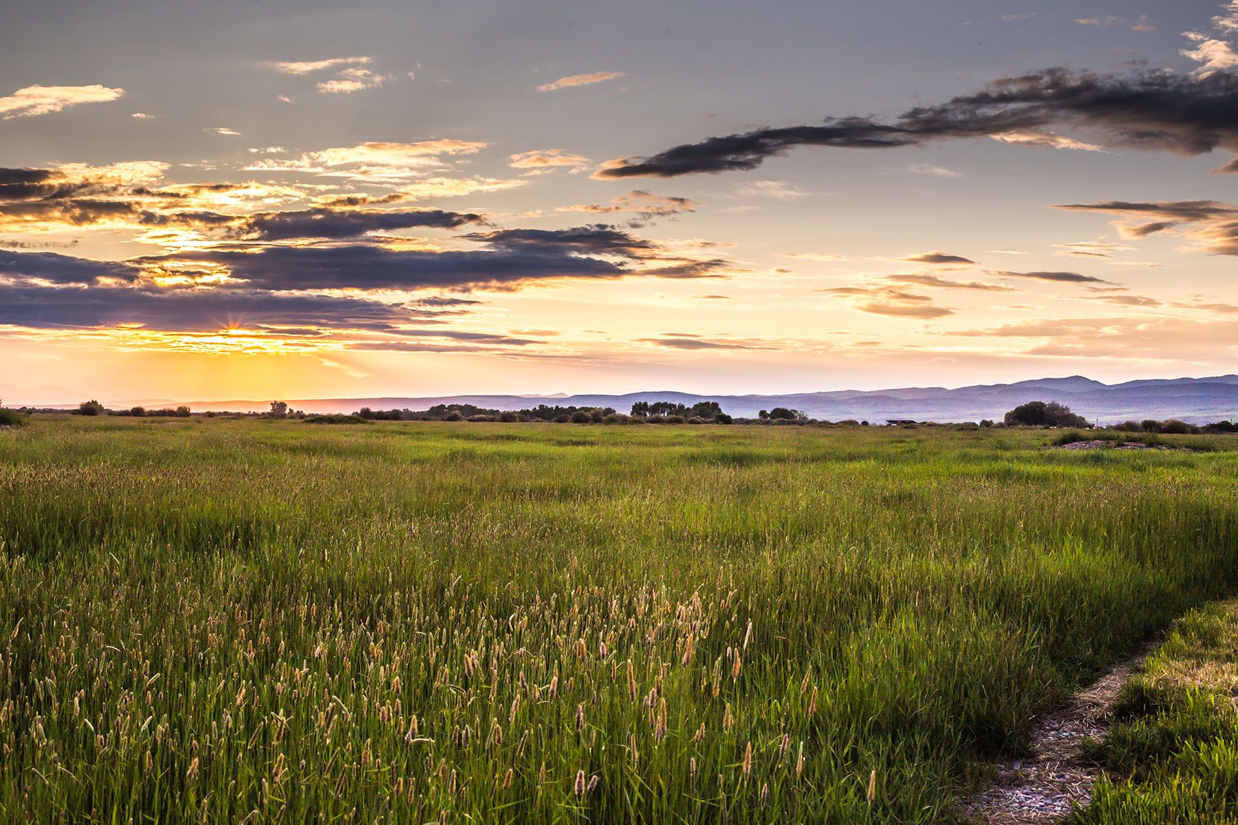 Story Creek Preserve property picture 34 of 48