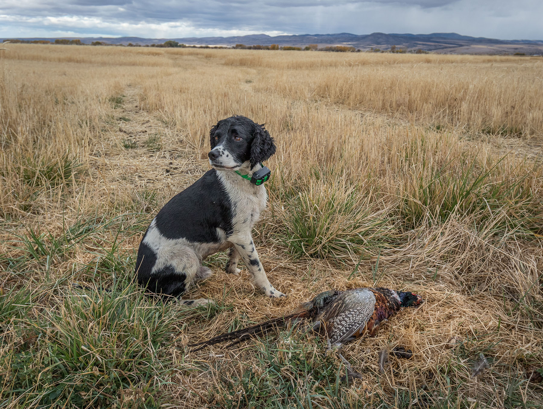 Story Creek Preserve property picture 48 of 48