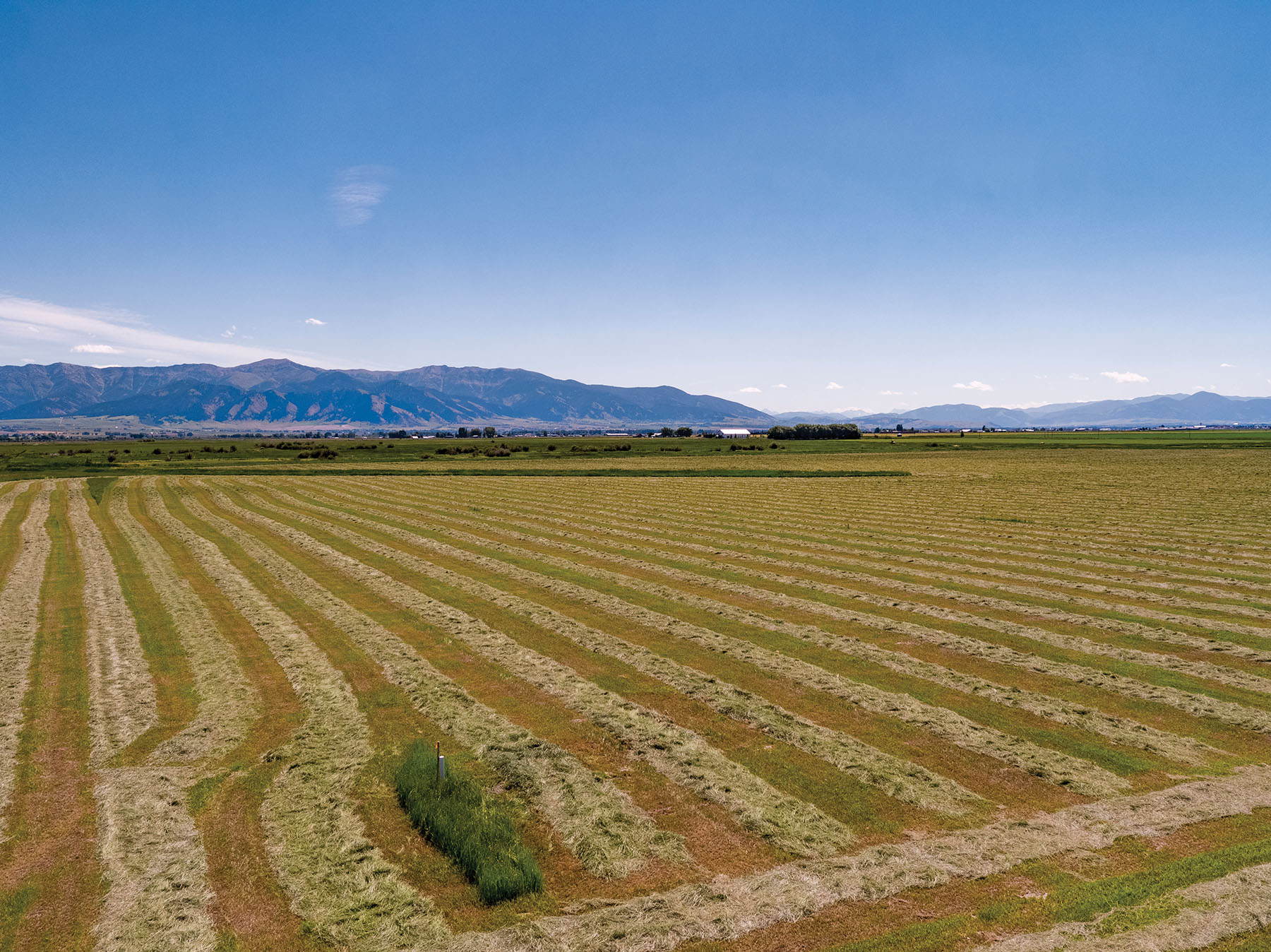 Story Creek Preserve property picture 33 of 48