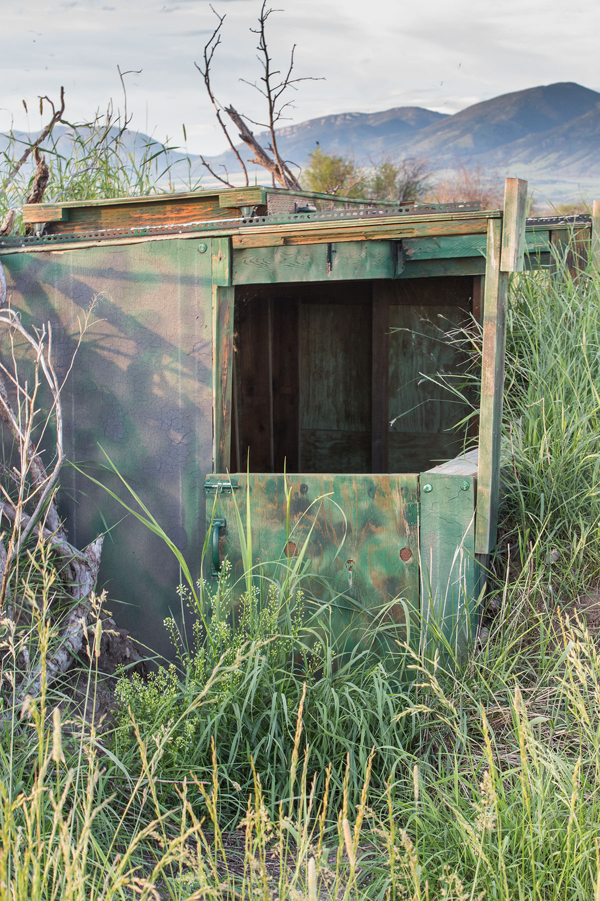 Story Creek Preserve property picture 45 of 48