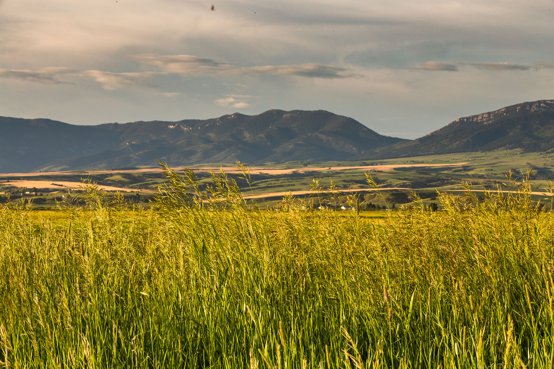 Story Creek Preserve property picture 4 of 48