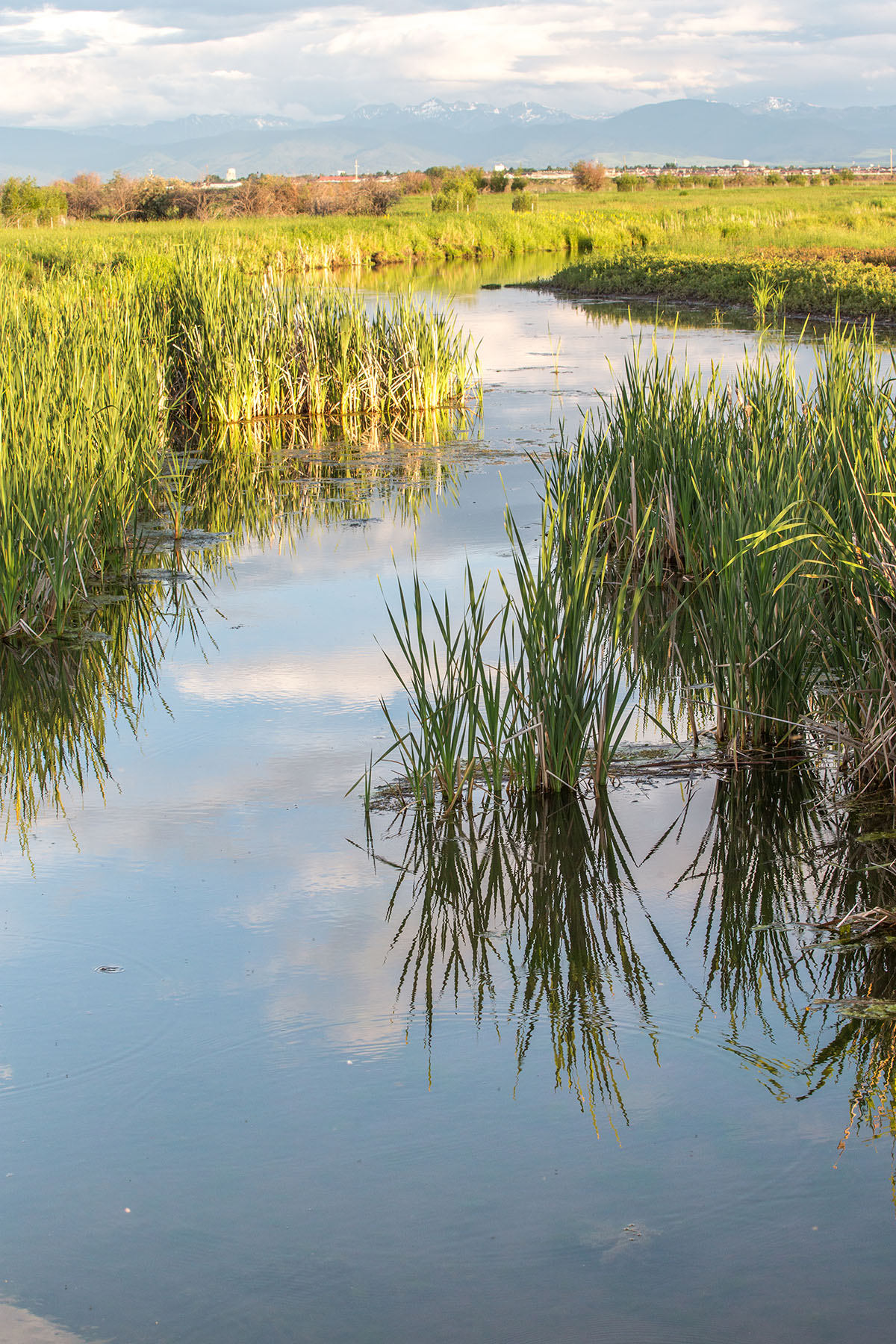 Story Creek Preserve property picture 35 of 48