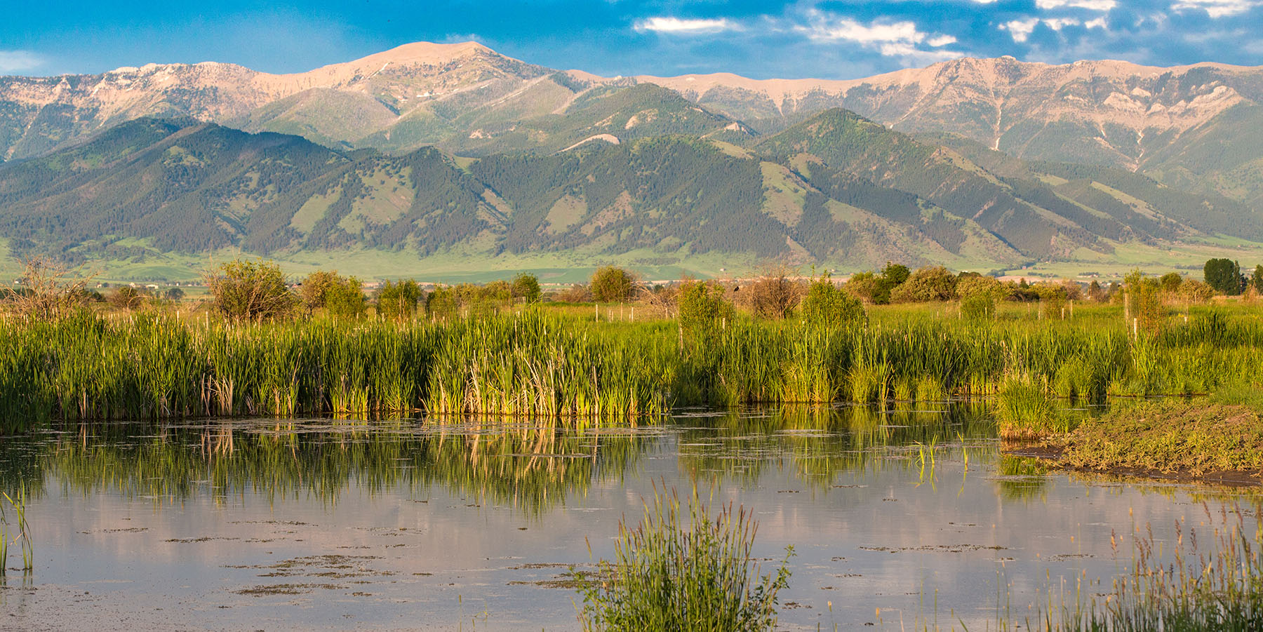 Story Creek Preserve property picture 5 of 48