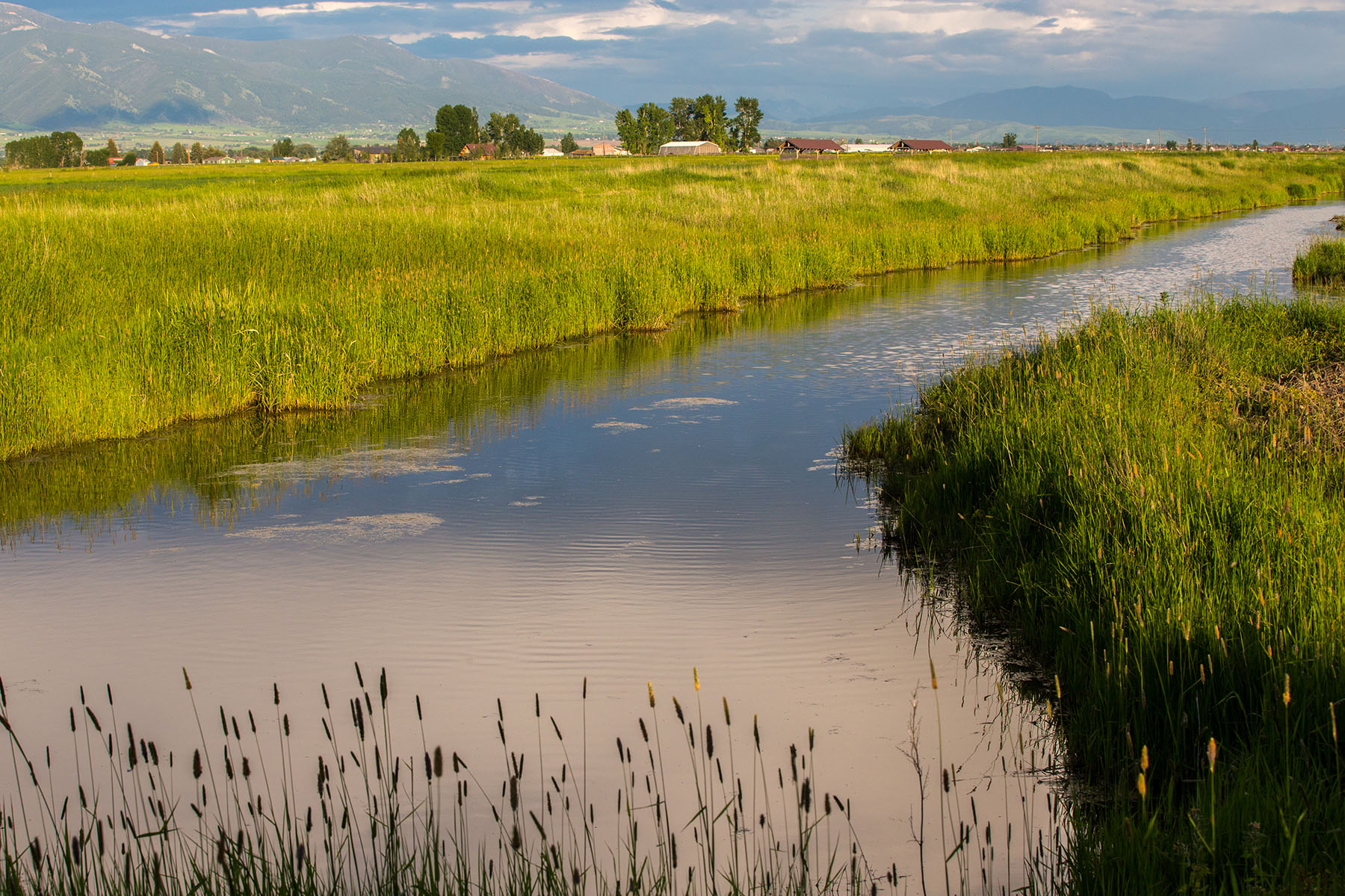Story Creek Preserve property picture 38 of 48