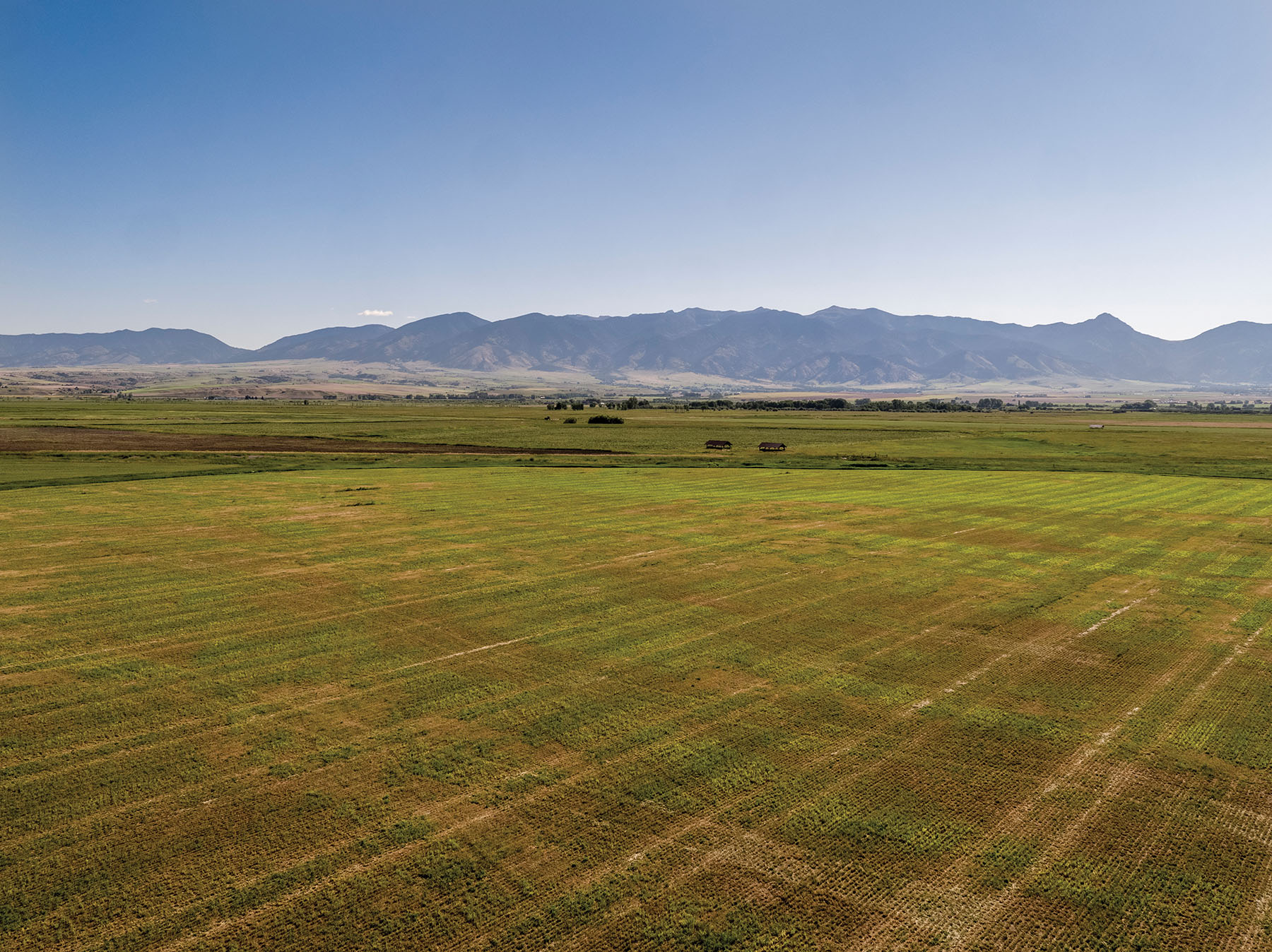 Story Creek Preserve property picture 39 of 48
