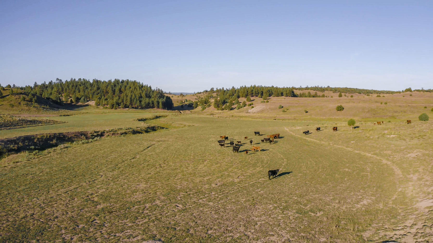 Quinlan Ranch - Sold - New Mexico - Hall and Hall