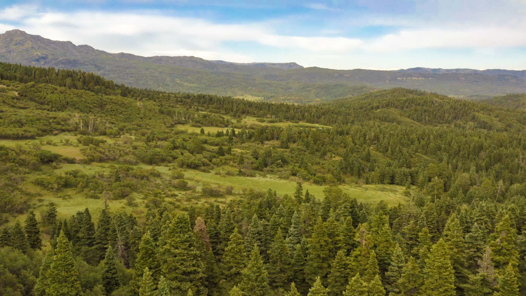 Quinlan Ranch property picture 33 of 115