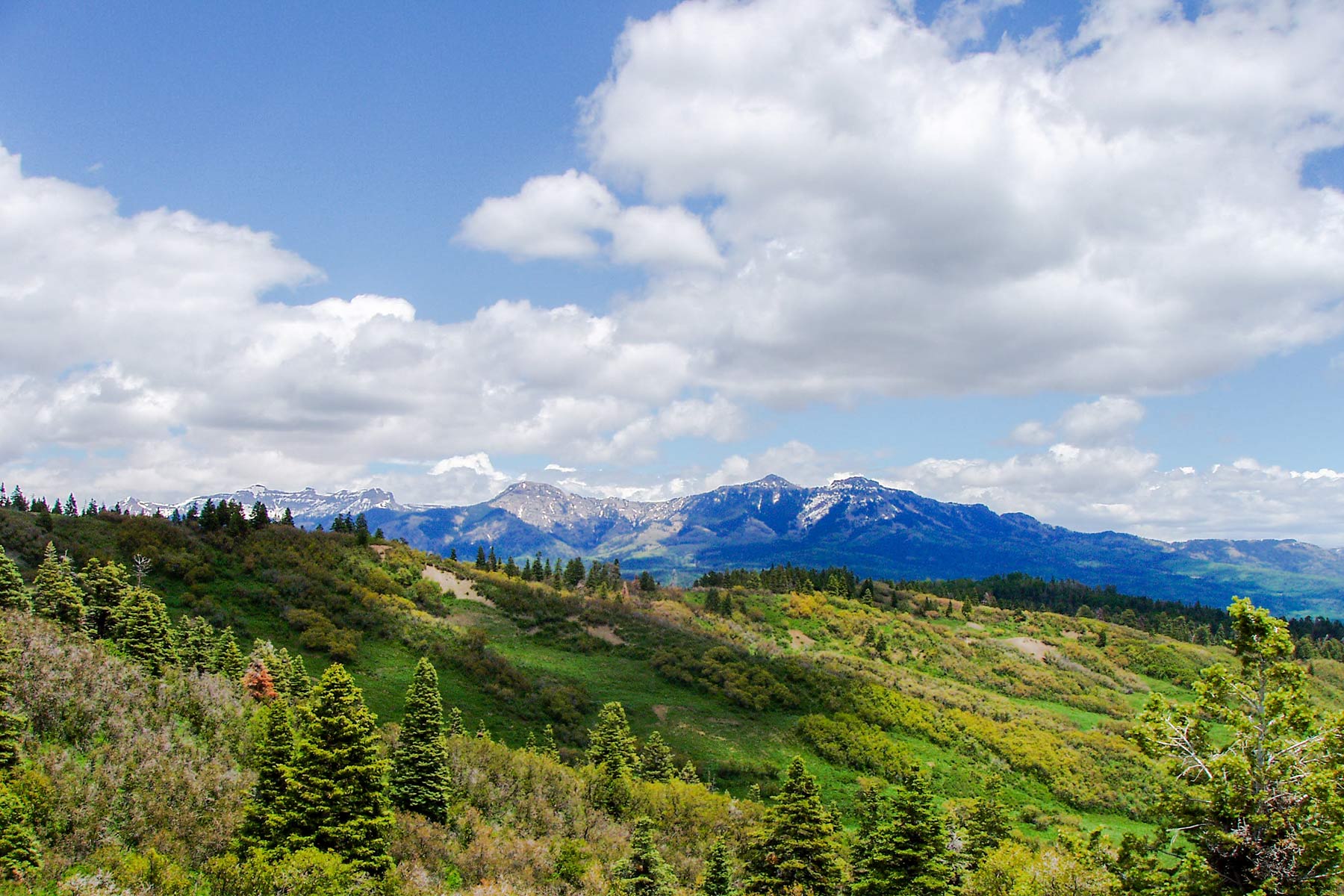 Quinlan Ranch property picture 4 of 115