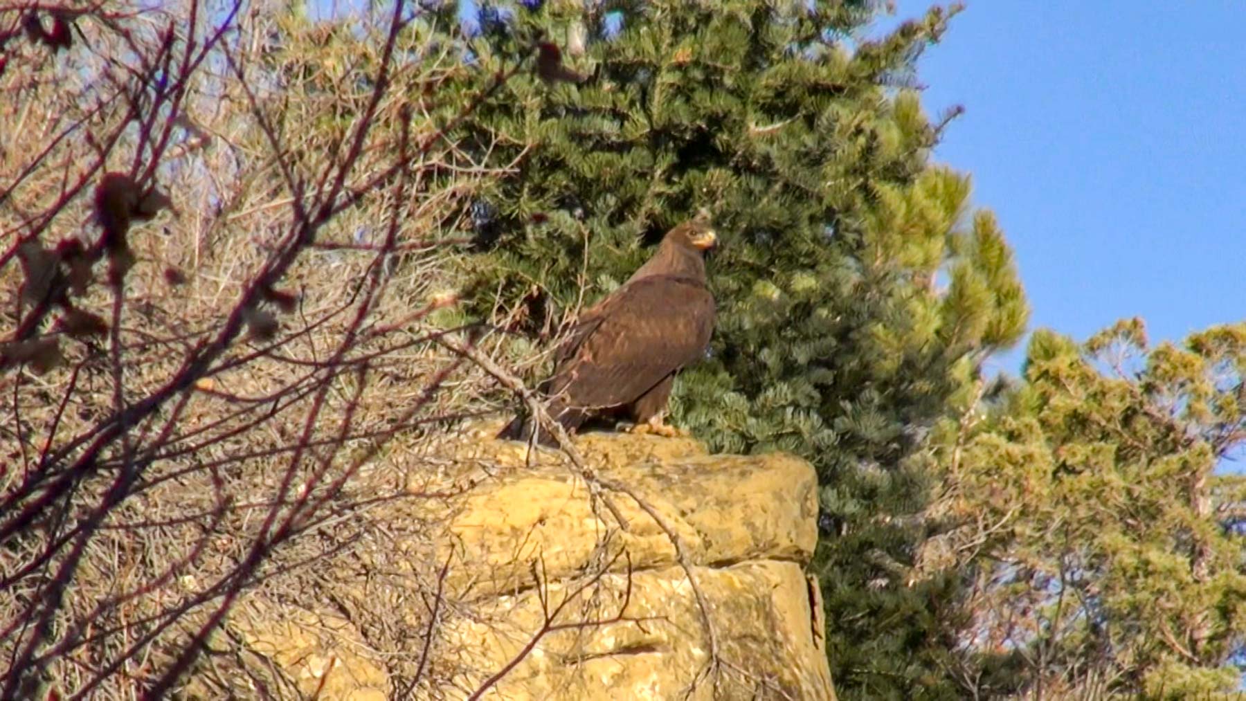 Quinlan Ranch property picture 31 of 115