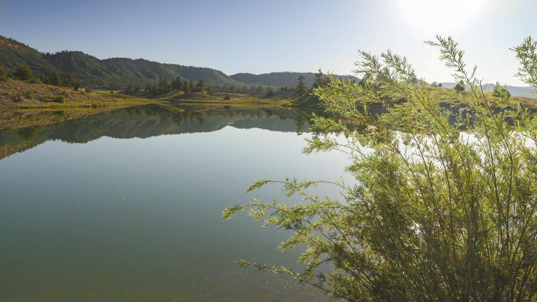 Quinlan Ranch property picture 66 of 115