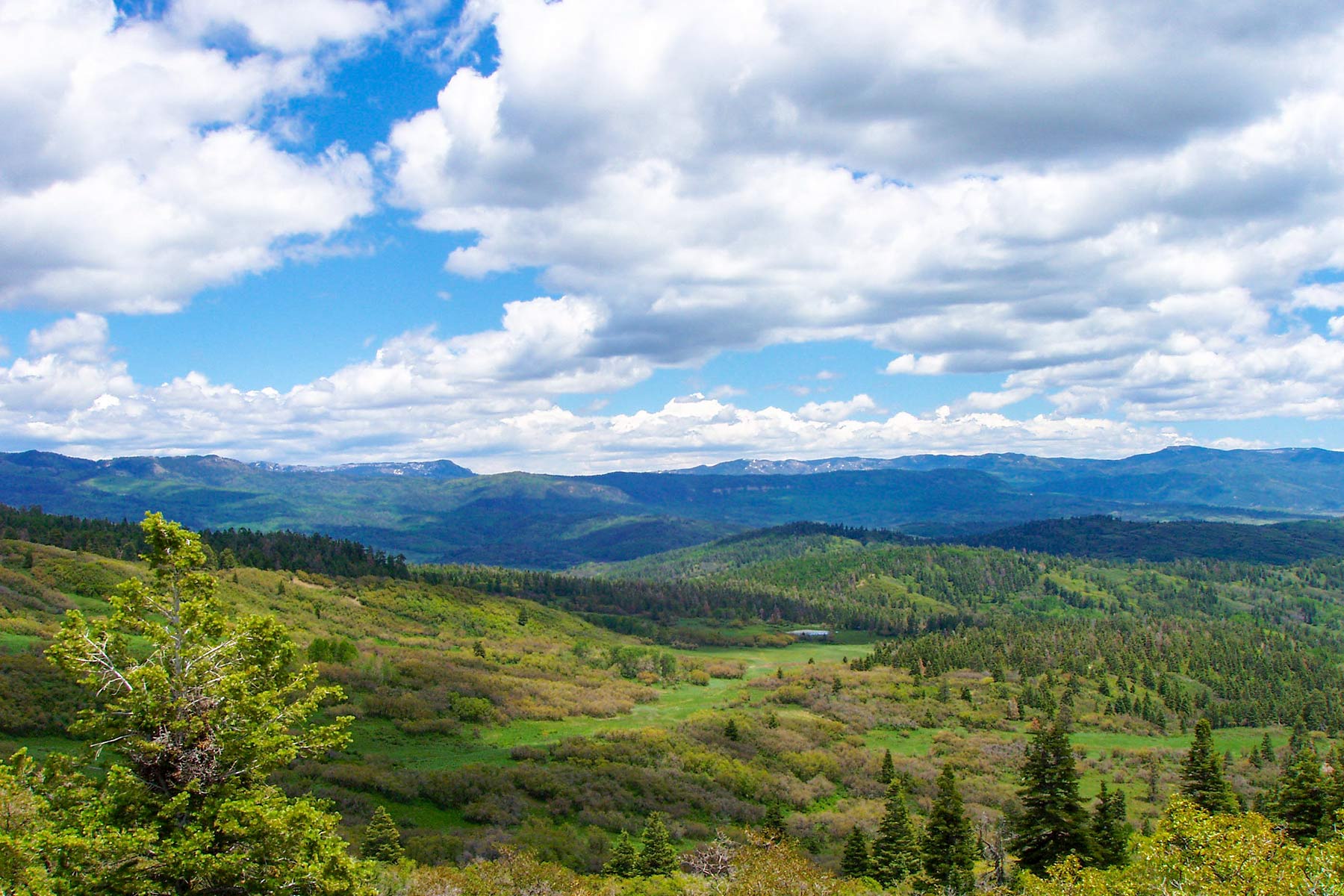 Quinlan Ranch property picture 7 of 115