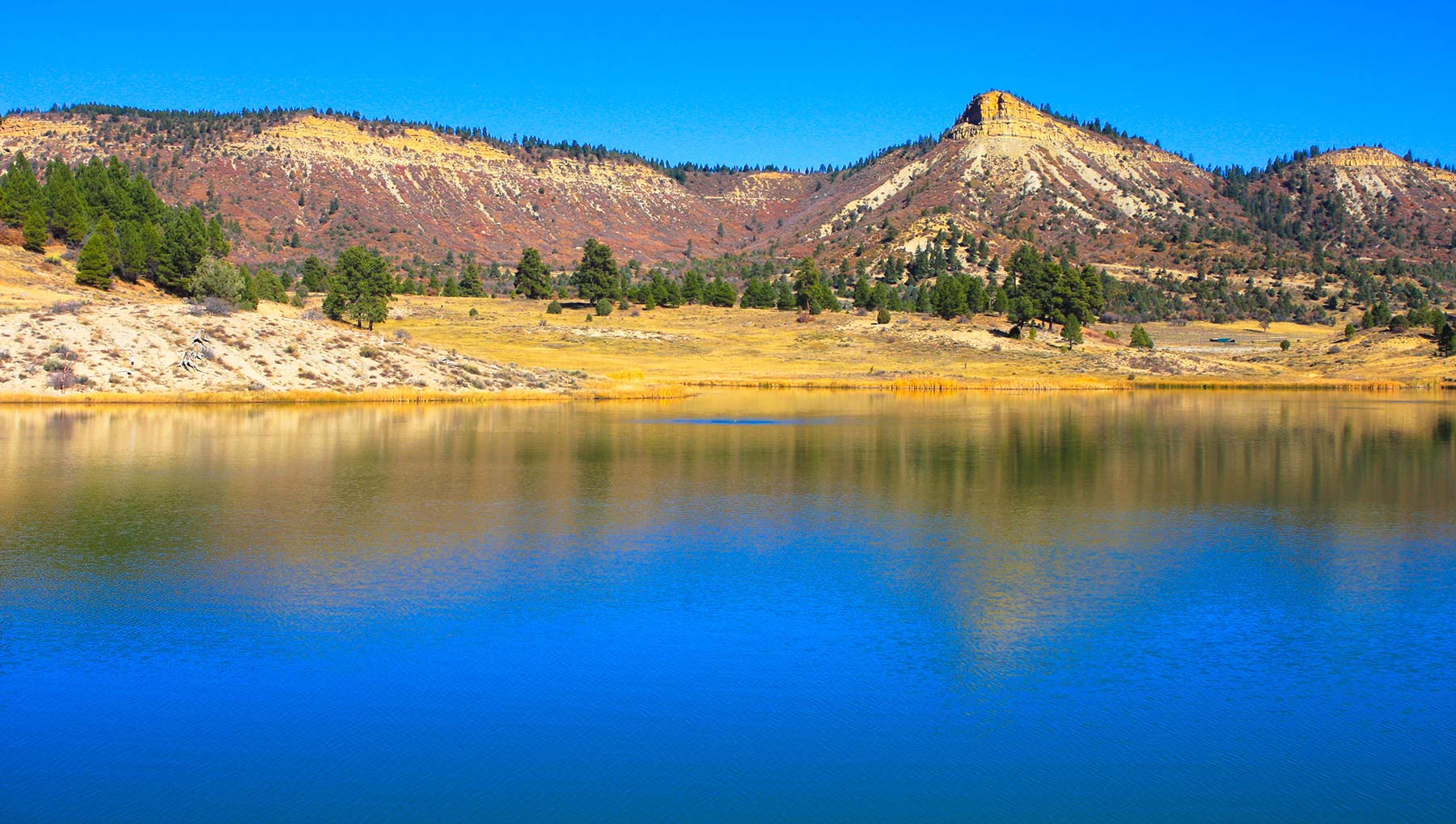 Quinlan Ranch Sold New Mexico Hall and Hall