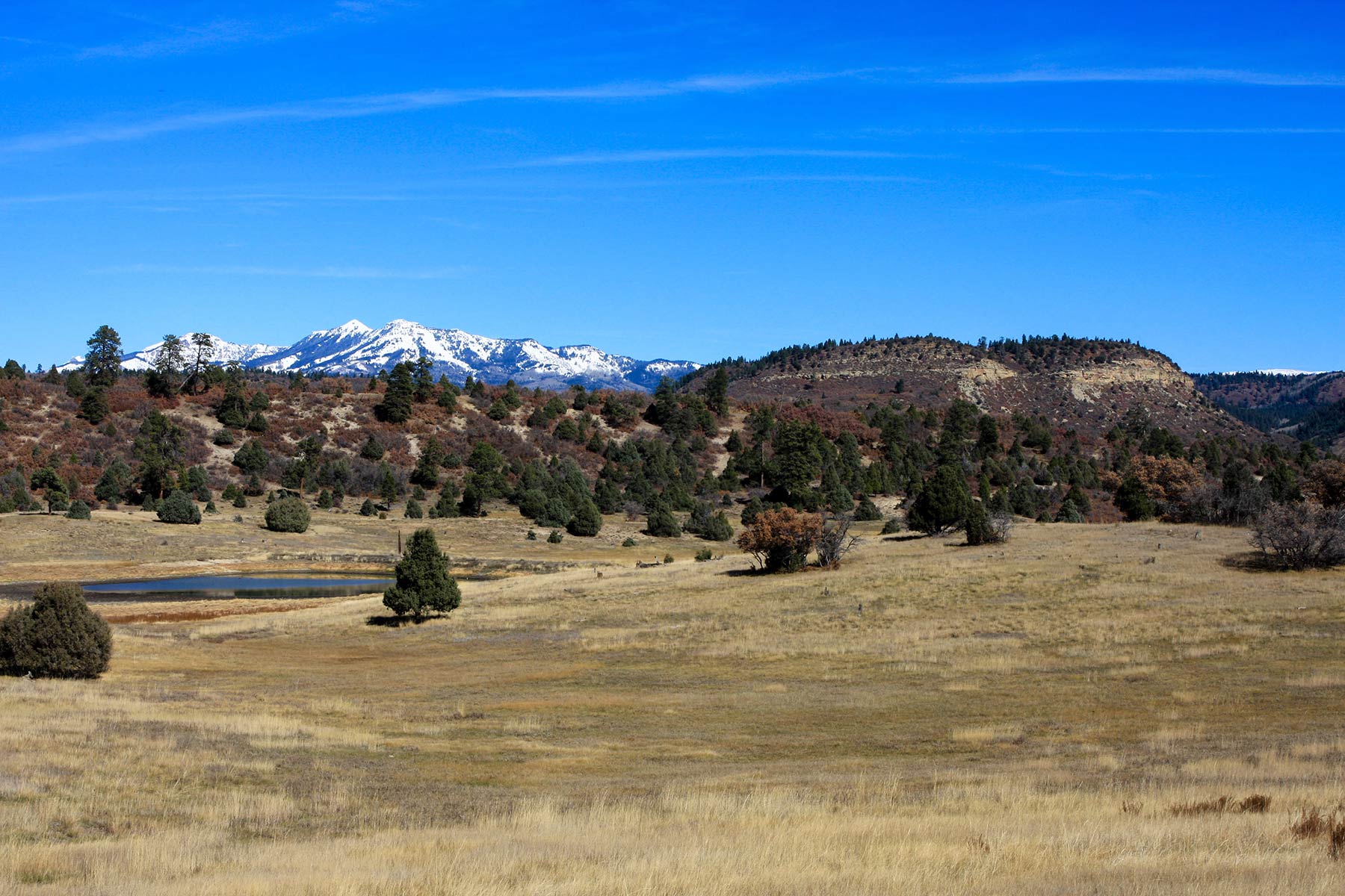 Quinlan Ranch - Sold - New Mexico - Hall and Hall