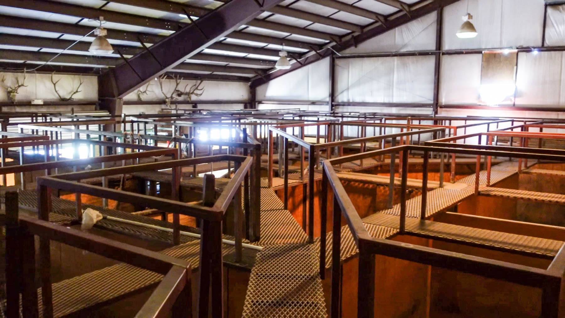 Quinlan Ranch property picture 86 of 115