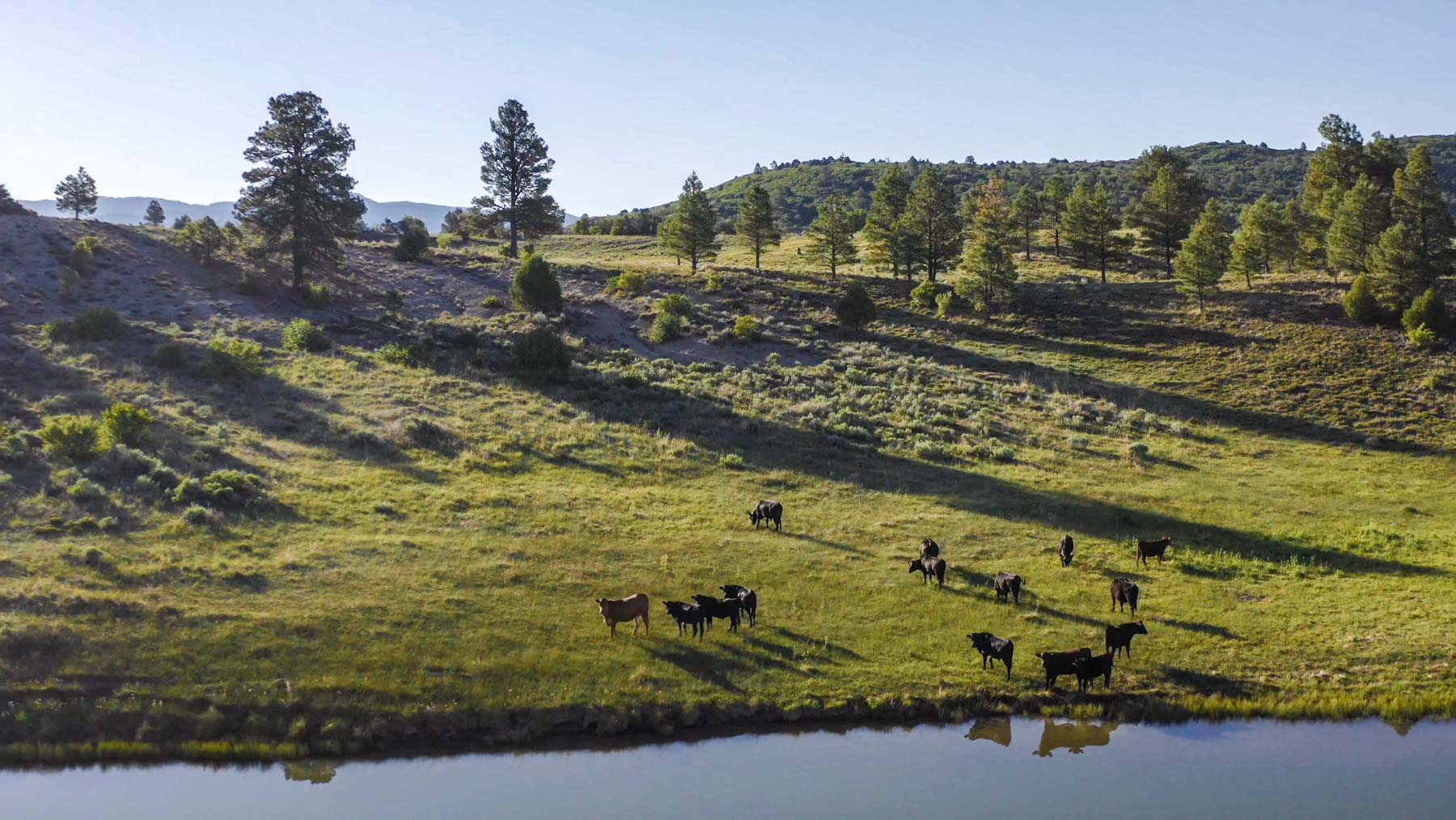 Quinlan Ranch property picture 63 of 115