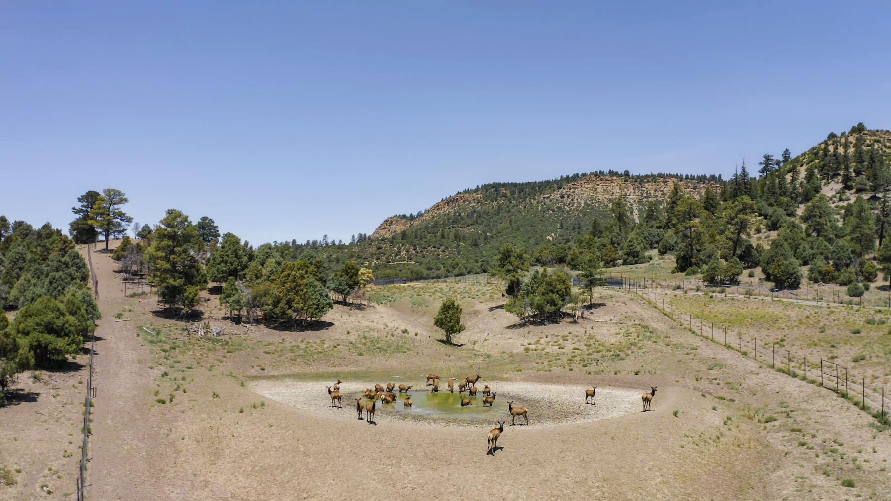 Quinlan Ranch property picture 83 of 115