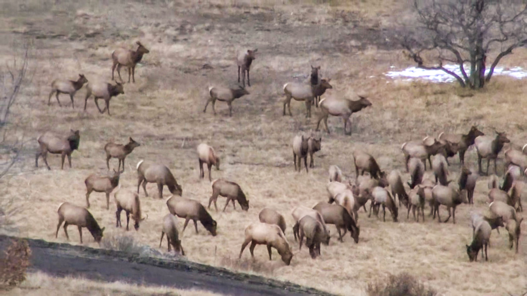 Quinlan Ranch property picture 32 of 115