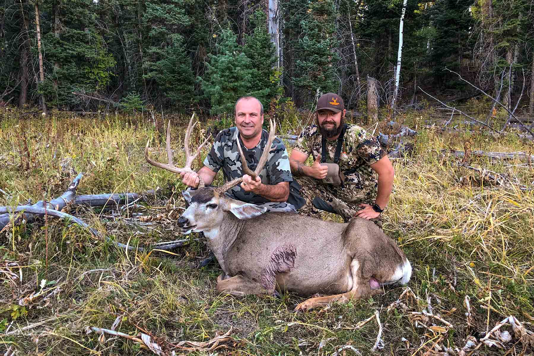 Quinlan Ranch property picture 2 of 115