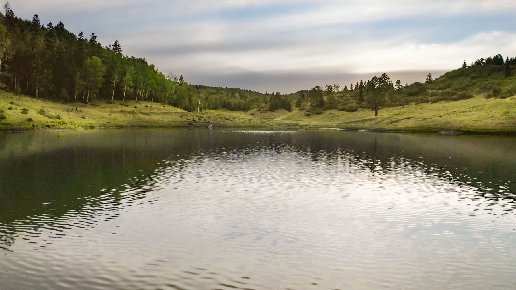 Quinlan Ranch property picture 43 of 115