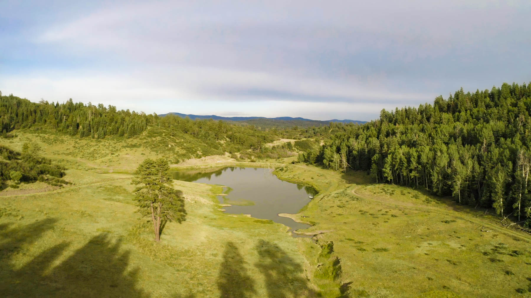 Quinlan Ranch property picture 34 of 115