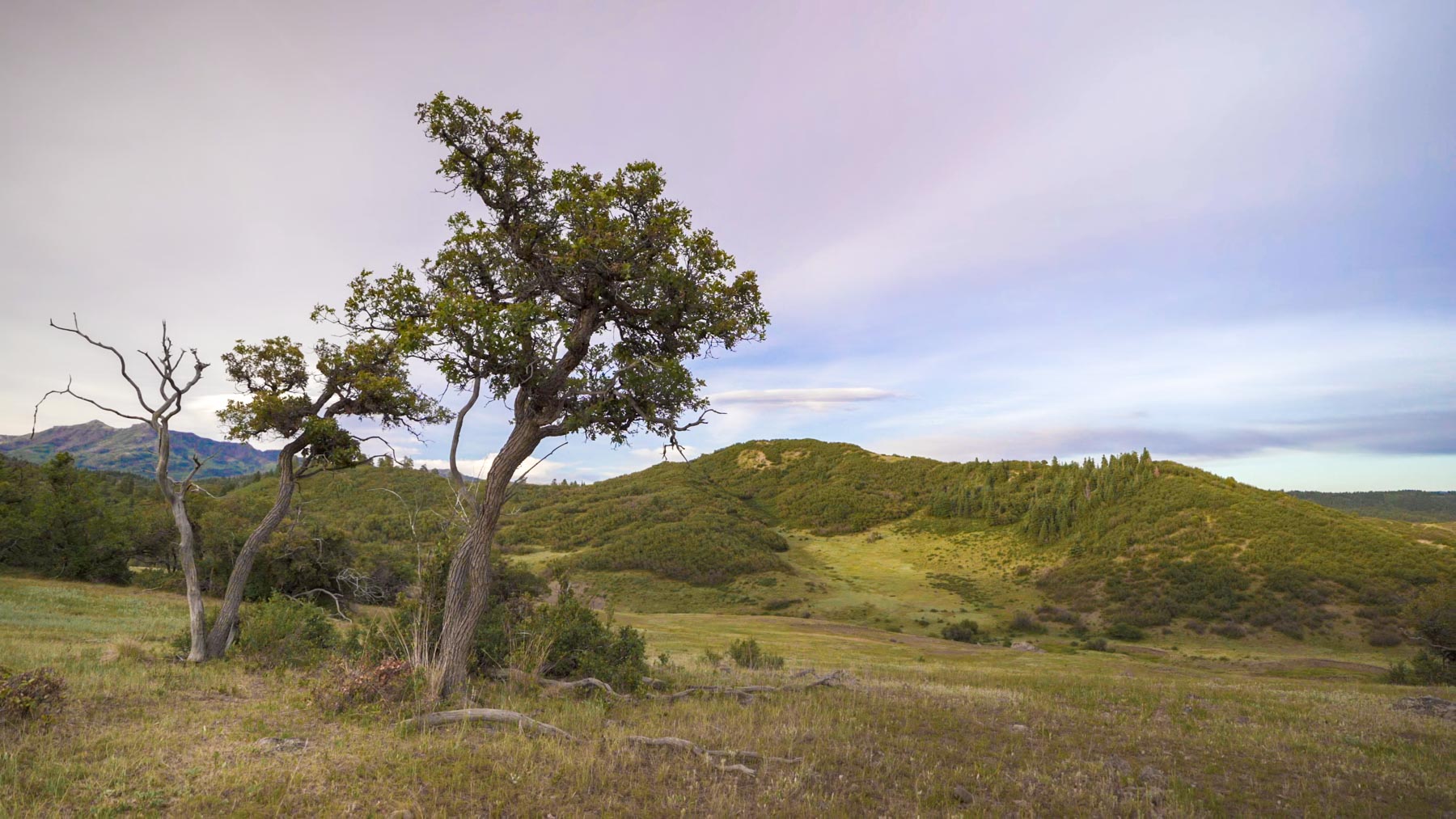 Quinlan Ranch property picture 49 of 115