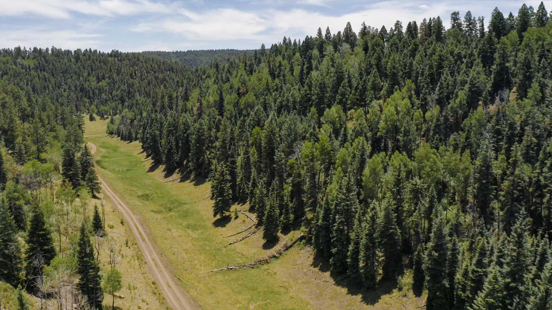 Quinlan Ranch property picture 65 of 115