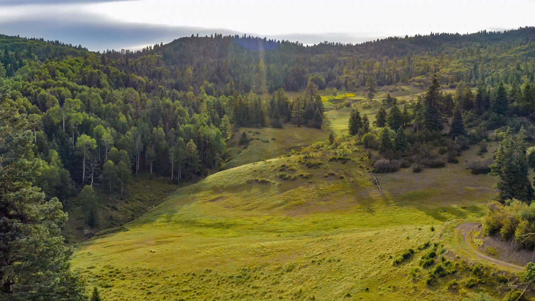 Quinlan Ranch Sold New Mexico Hall and Hall