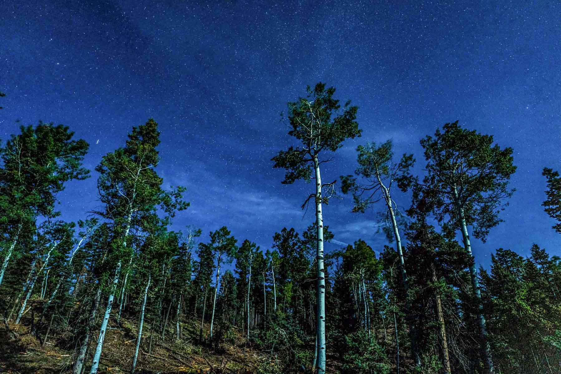 Quinlan Ranch property picture 103 of 115