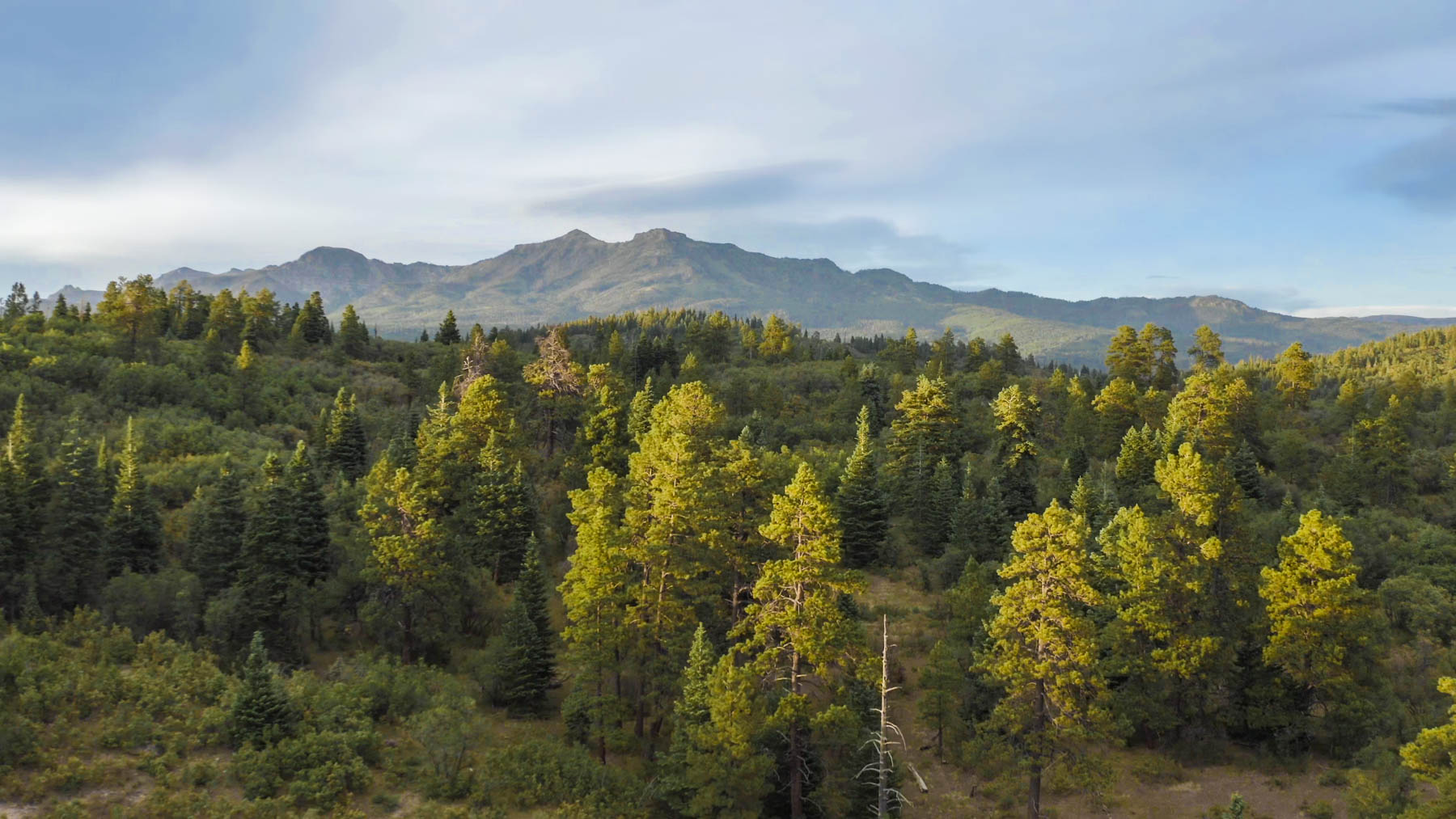 Quinlan Ranch property picture 44 of 115