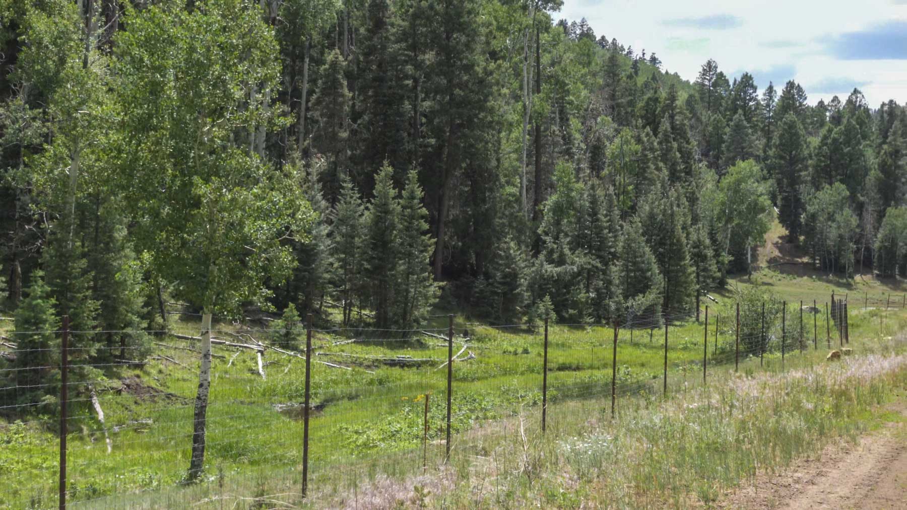 Quinlan Ranch property picture 71 of 115