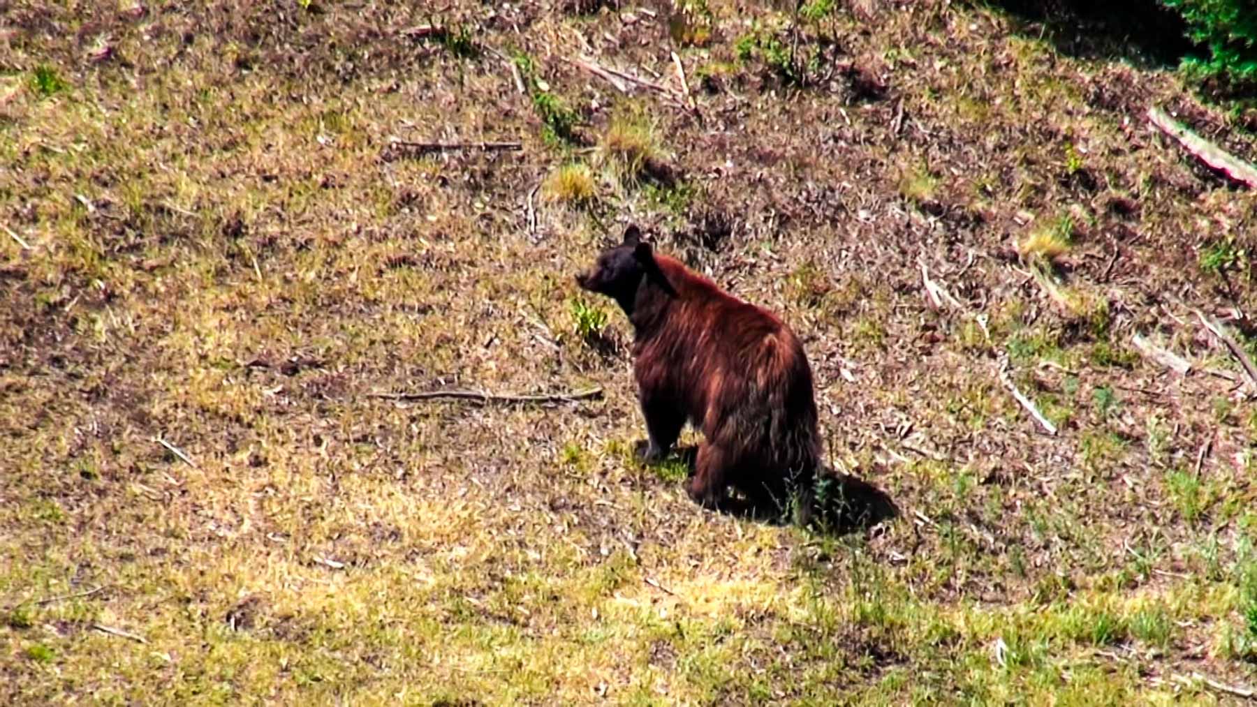 Quinlan Ranch property picture 101 of 115