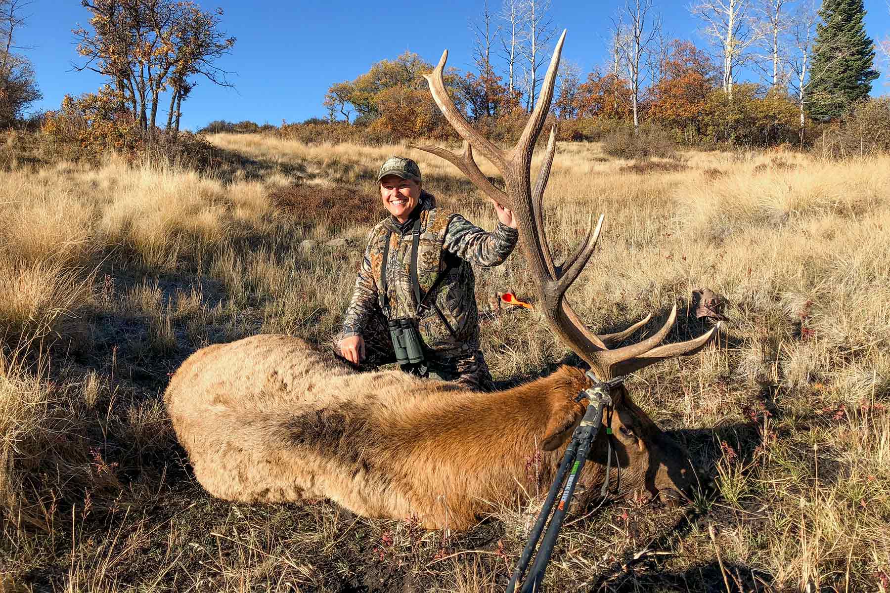 Quinlan Ranch property picture 1 of 115