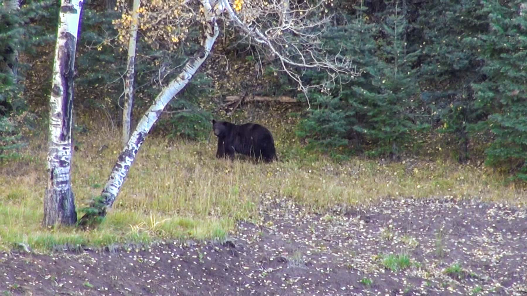 Quinlan Ranch property picture 28 of 115