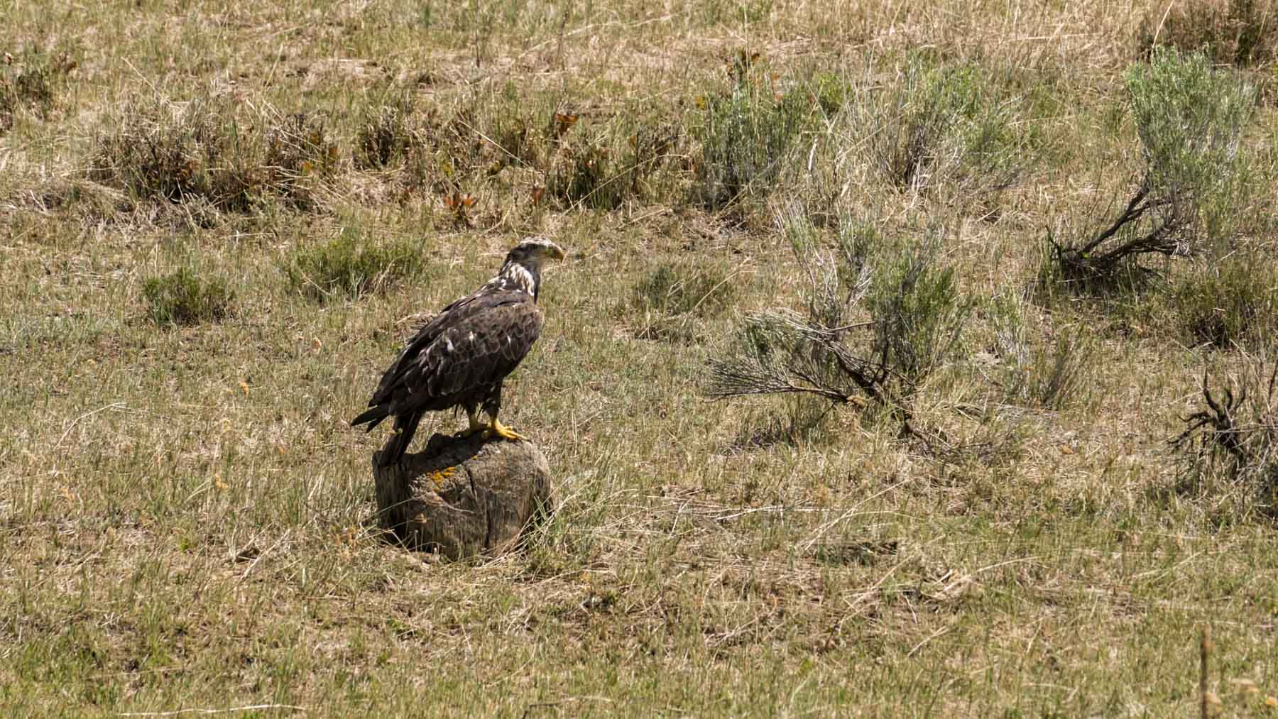 Quinlan Ranch property picture 89 of 115