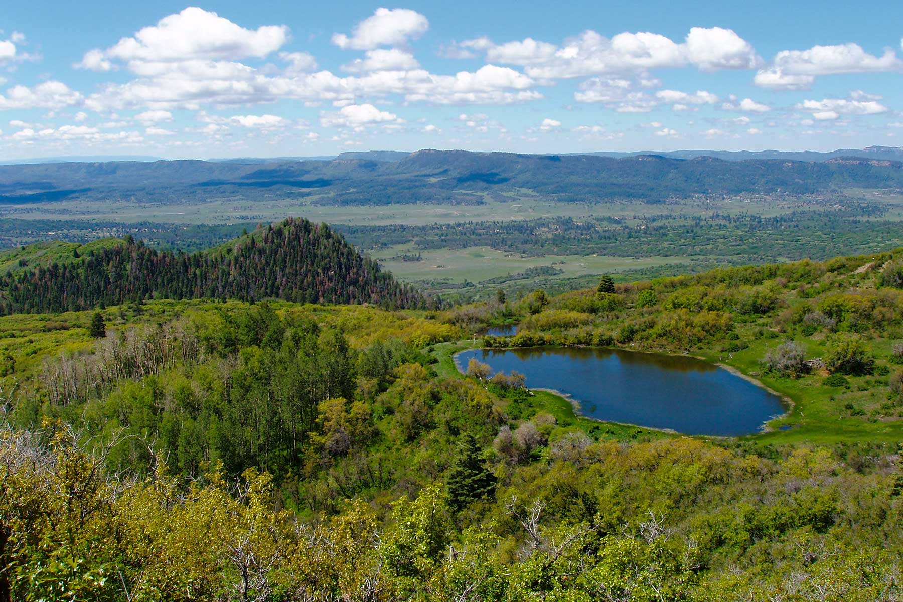 Quinlan Ranch property picture 5 of 115