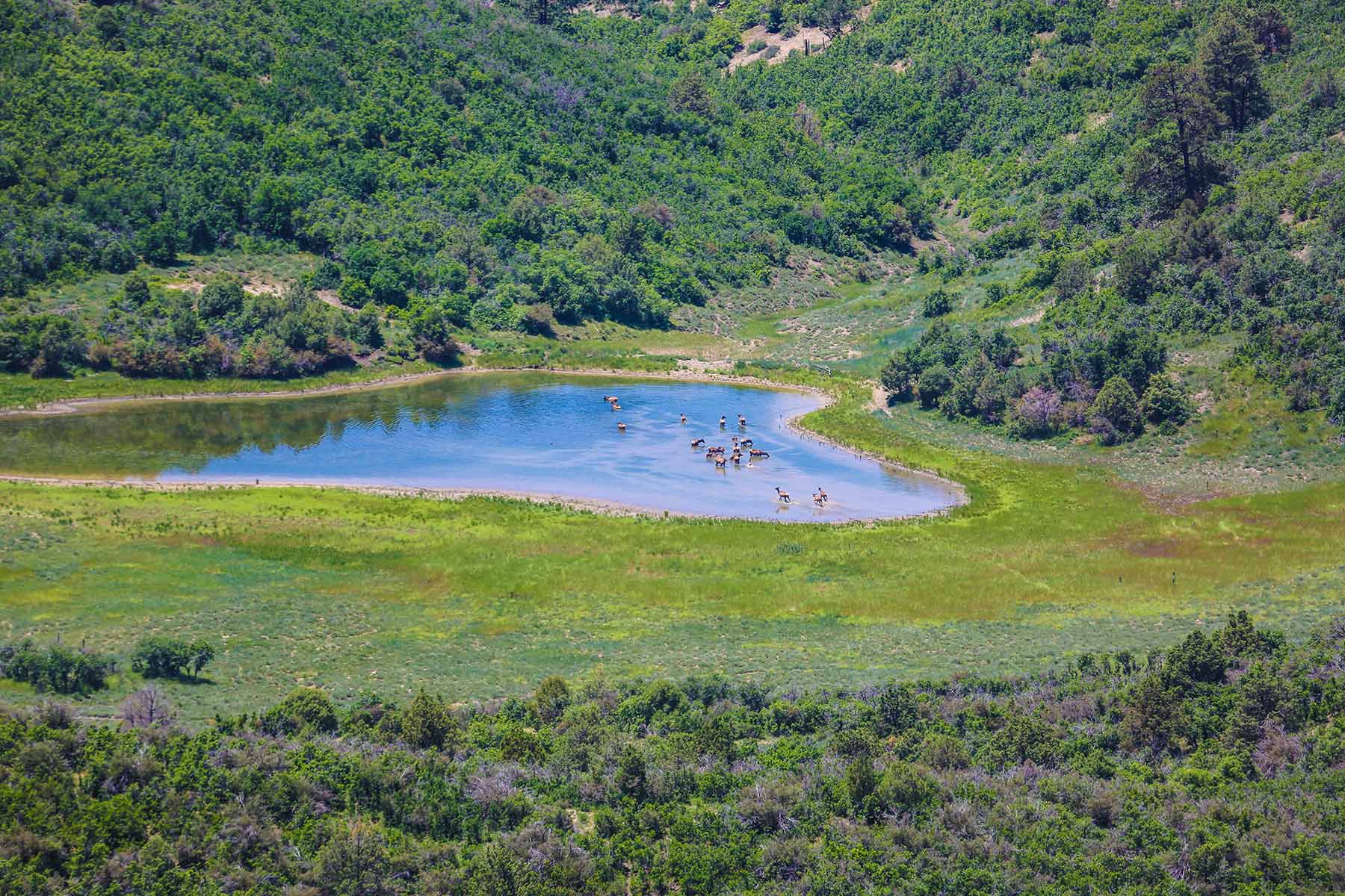 Quinlan Ranch property picture 8 of 115