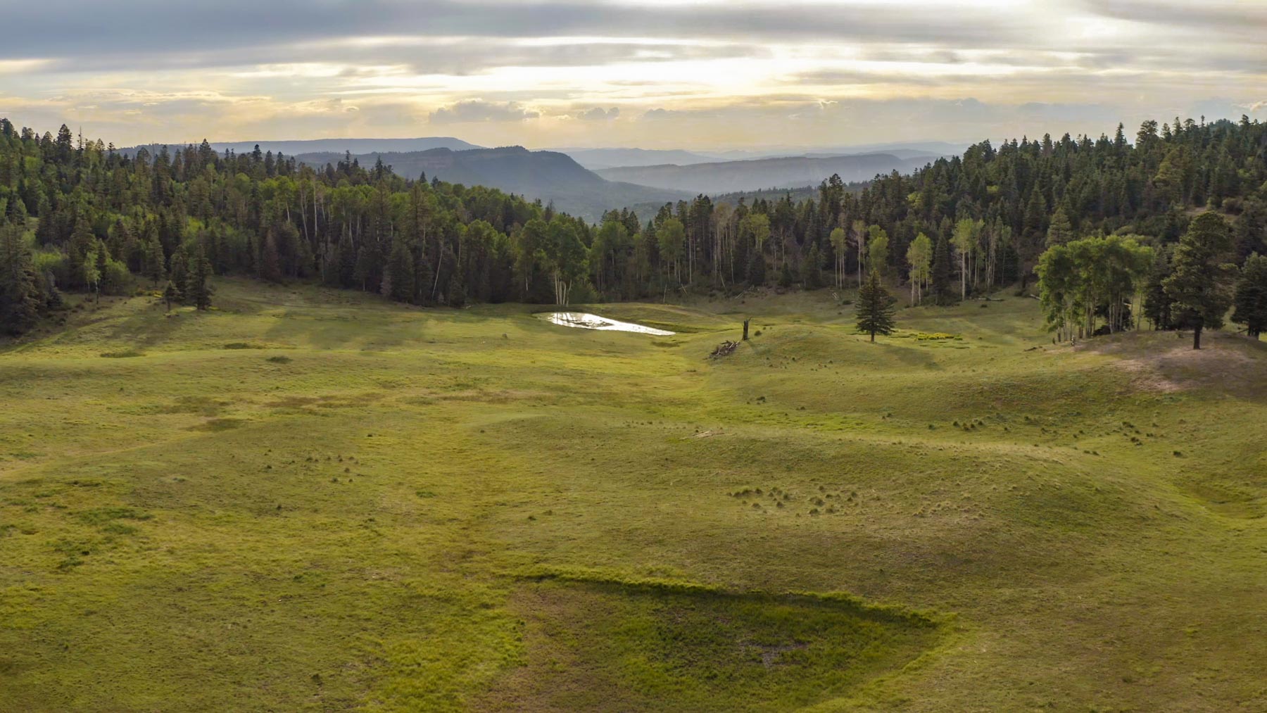 Quinlan Ranch property picture 38 of 115
