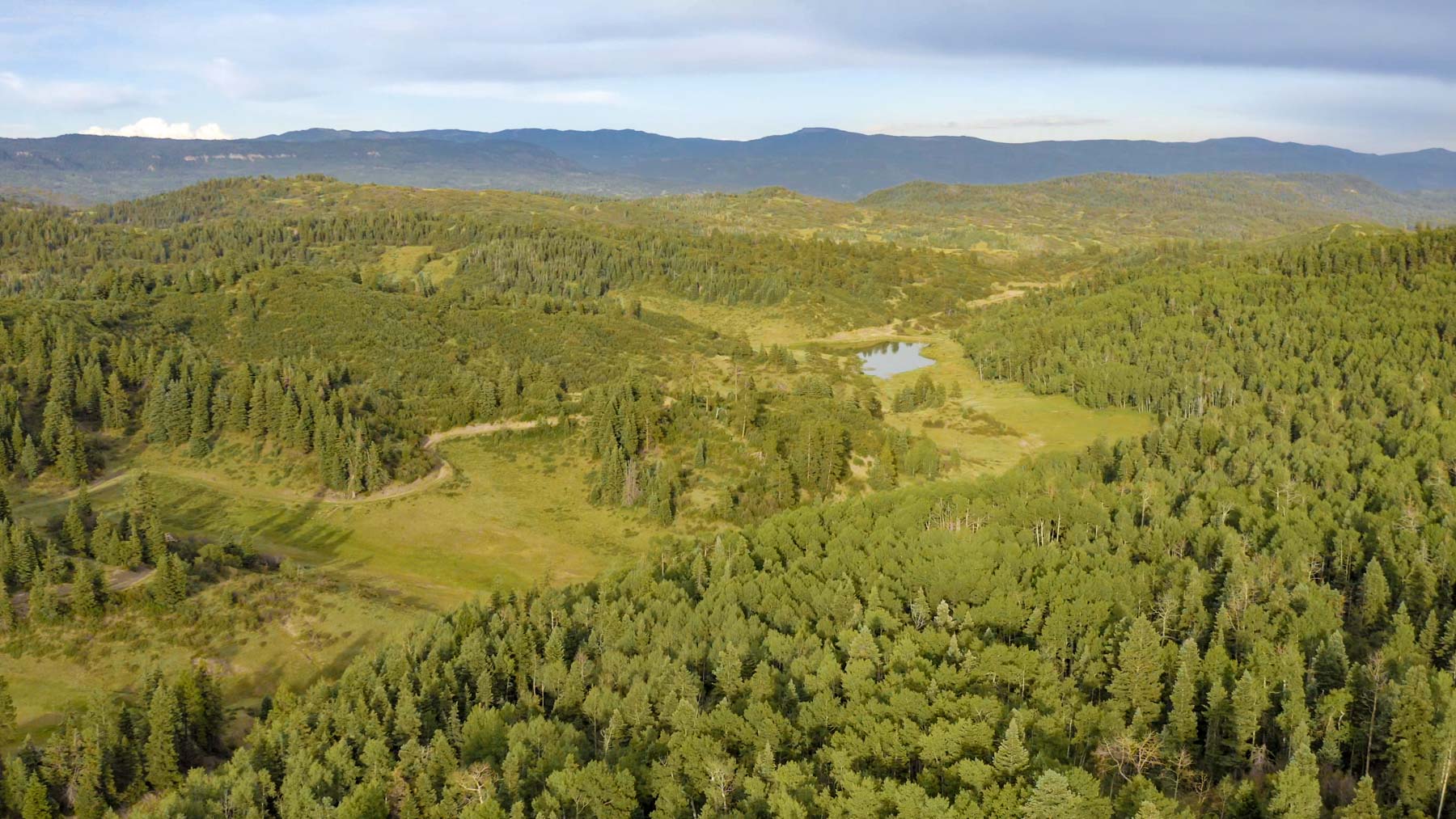 Quinlan Ranch property picture 40 of 115